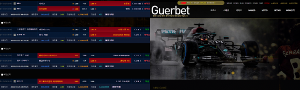 먹튀사이트 (게르벳 GUERBET 먹튀)